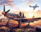 mustang airplane painting