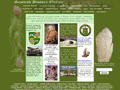 scottish history online