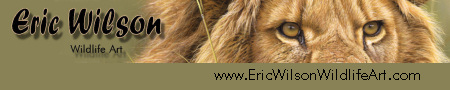 wildlife art