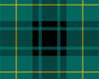 clan macarthur tartan