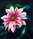 original art for sale