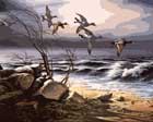 painting of geese by the shore